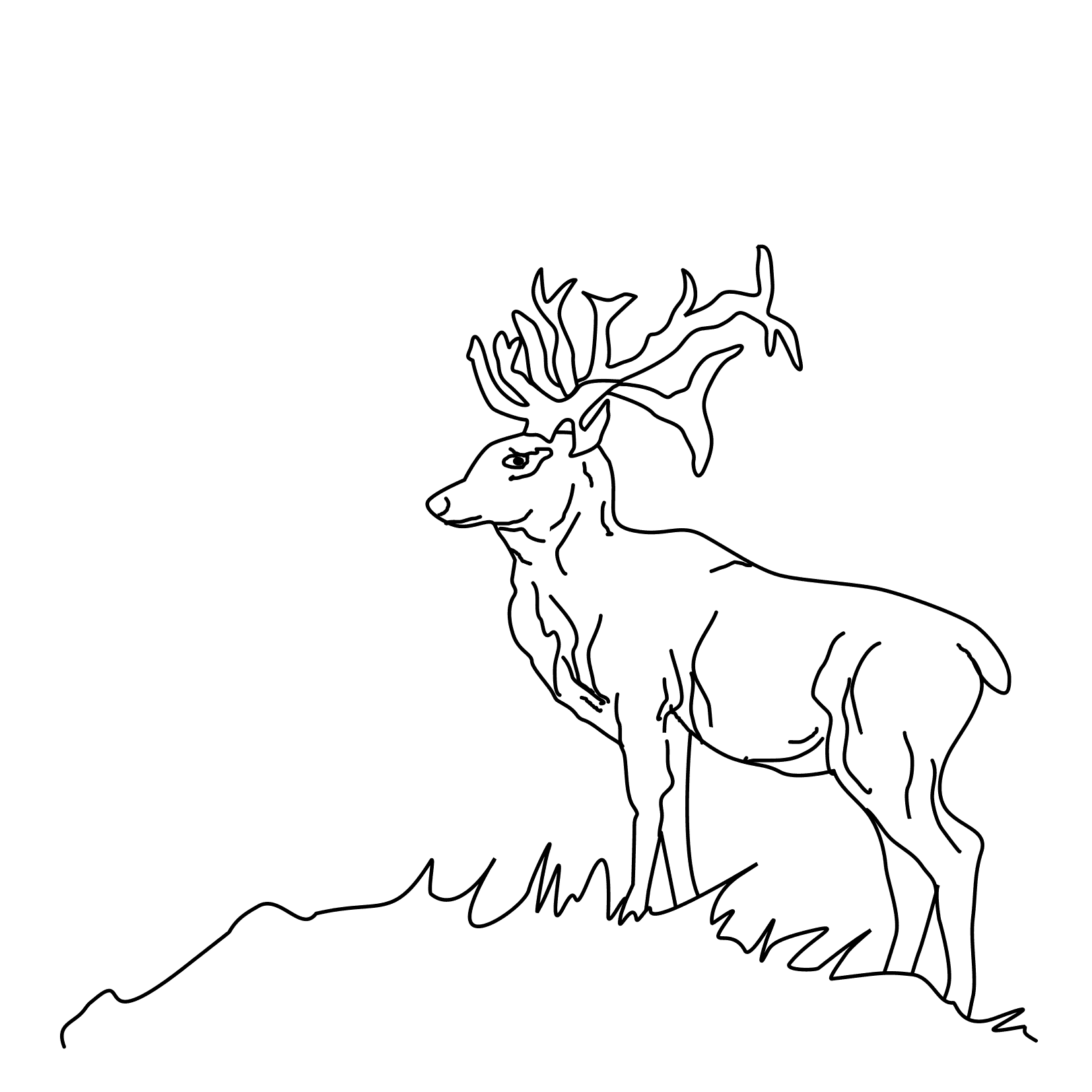 Coloring page: Deer (Animals) #2754 - Free Printable Coloring Pages