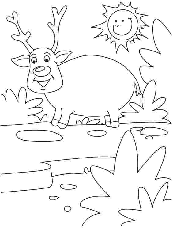 Coloring page: Deer (Animals) #2758 - Free Printable Coloring Pages