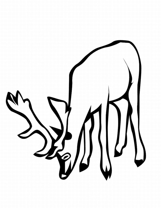 Coloring page: Deer (Animals) #2759 - Free Printable Coloring Pages