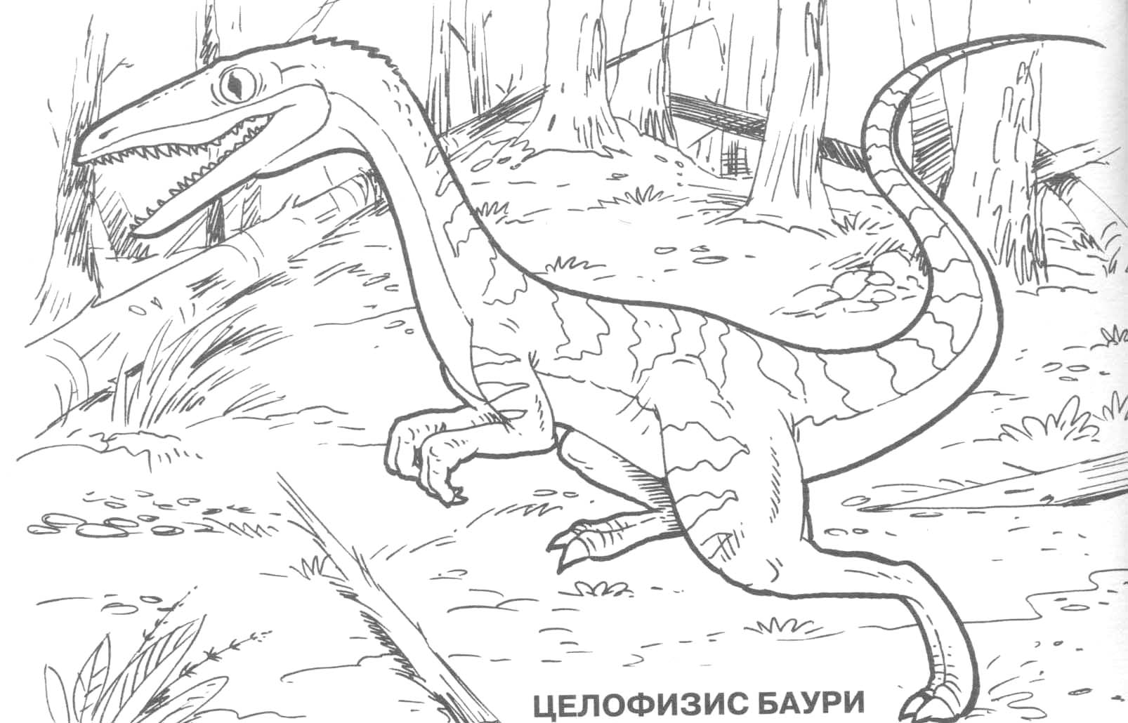 Coloring page: Dinosaur (Animals) #5676 - Free Printable Coloring Pages