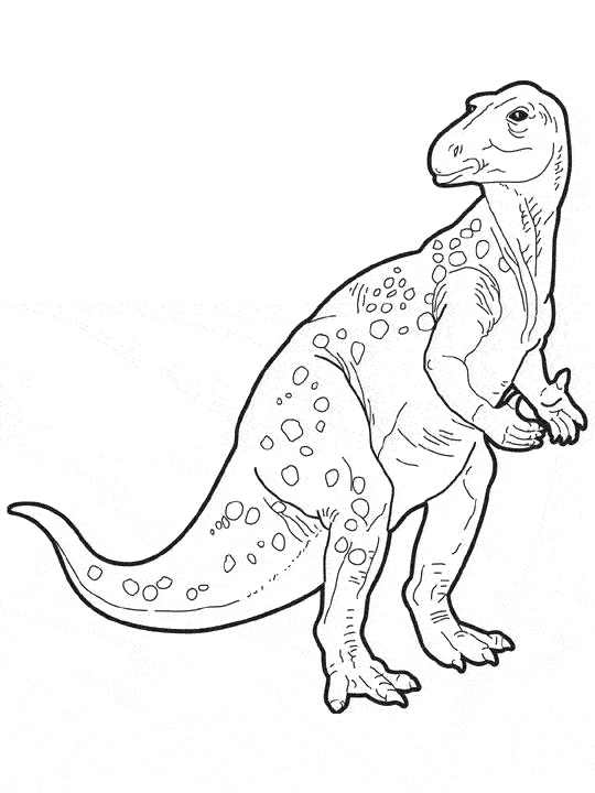 Coloring page: Dinosaur (Animals) #5681 - Printable coloring pages