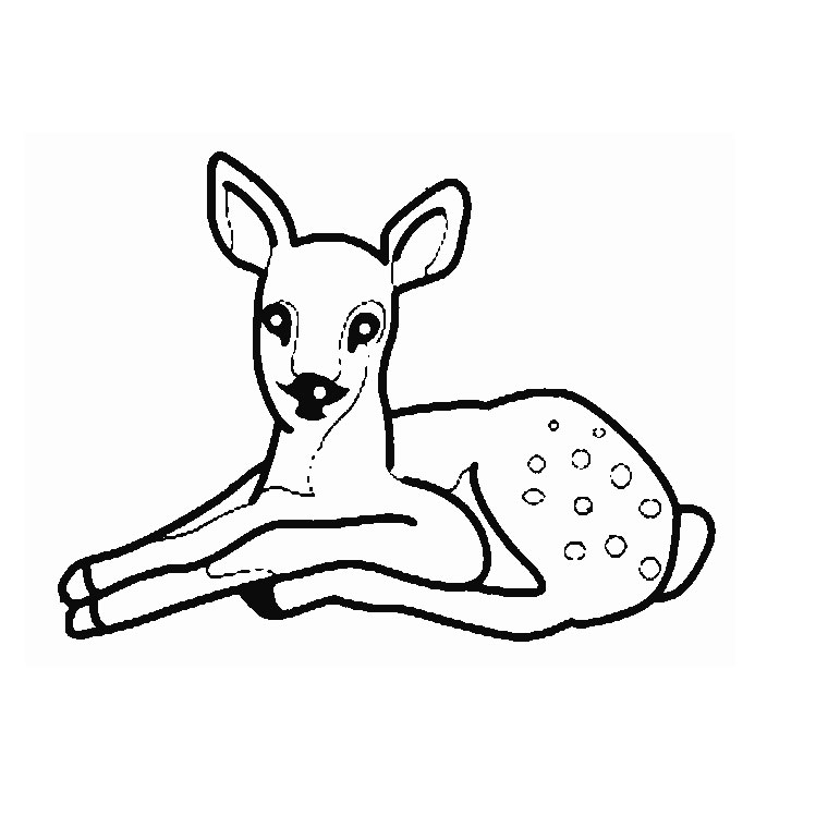 Coloring page: Doe (Animals) #1091 - Free Printable Coloring Pages