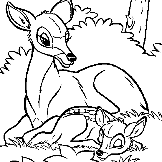 Coloring page: Doe (Animals) #1107 - Free Printable Coloring Pages