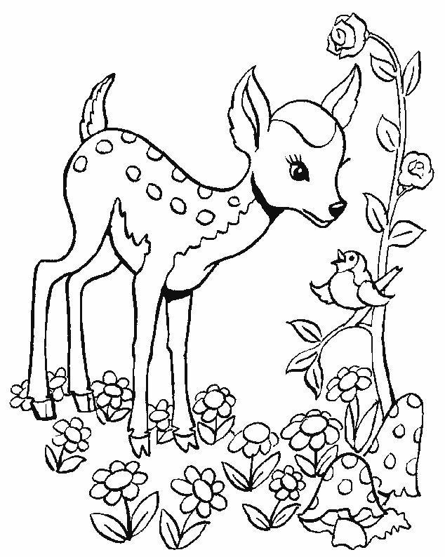 Coloring page: Doe (Animals) #1127 - Free Printable Coloring Pages