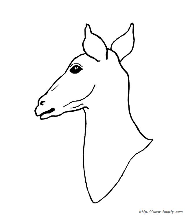 Coloring page: Doe (Animals) #1134 - Free Printable Coloring Pages