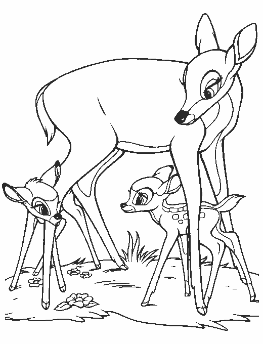 Coloring page: Doe (Animals) #1136 - Free Printable Coloring Pages