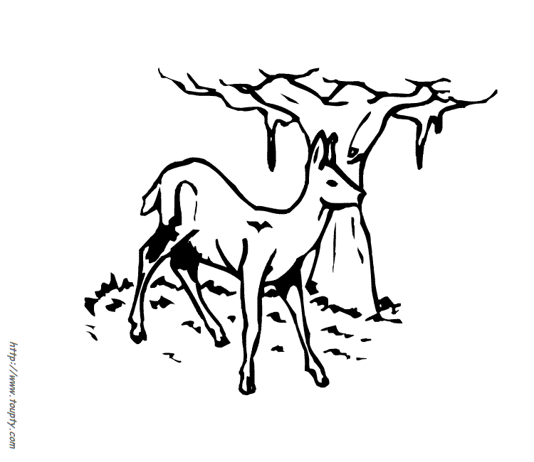 Coloring page: Doe (Animals) #1140 - Free Printable Coloring Pages