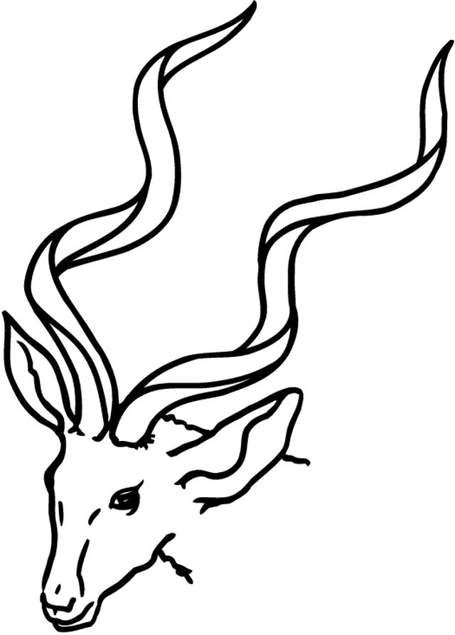 Coloring page: Doe (Animals) #1141 - Free Printable Coloring Pages