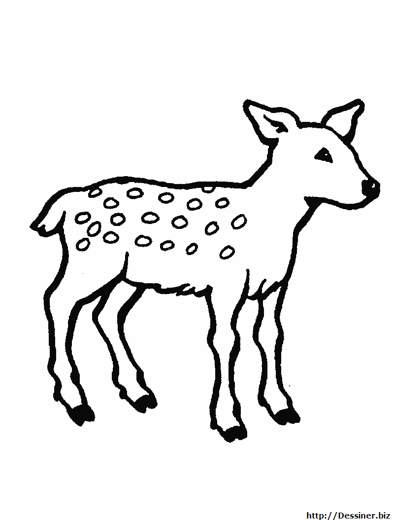 Coloring page: Doe (Animals) #1148 - Free Printable Coloring Pages