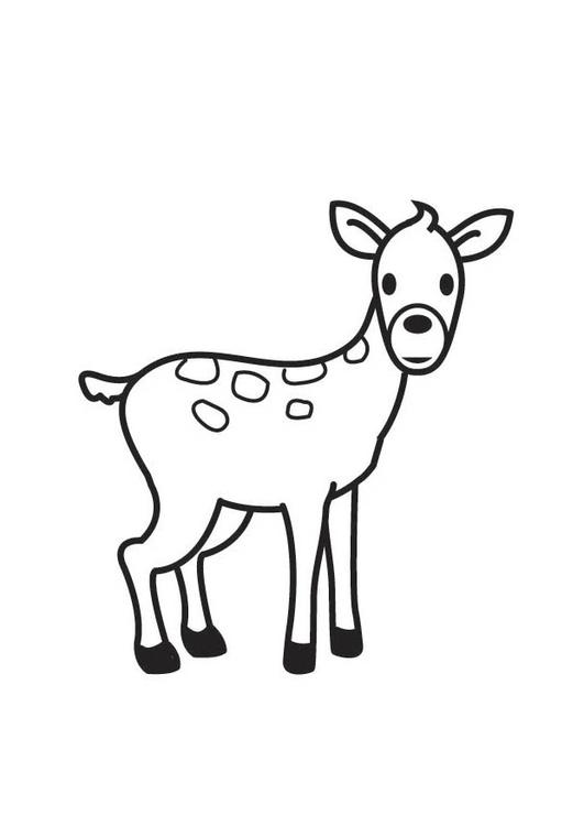 Coloring page: Doe (Animals) #1154 - Free Printable Coloring Pages