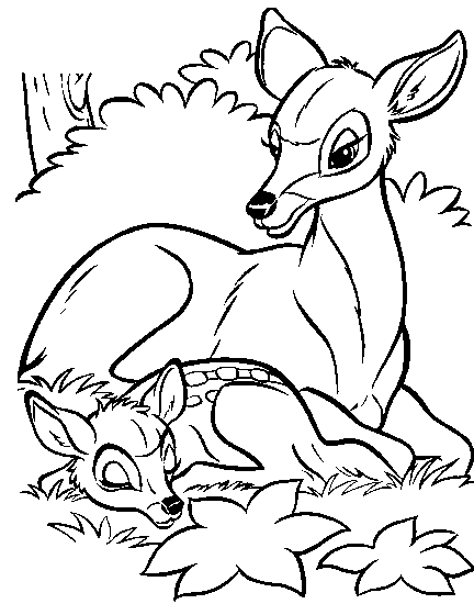 Coloring page: Doe (Animals) #1162 - Printable coloring pages