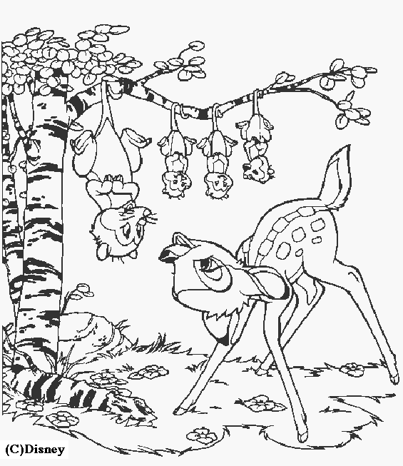 Coloring page: Doe (Animals) #1179 - Free Printable Coloring Pages
