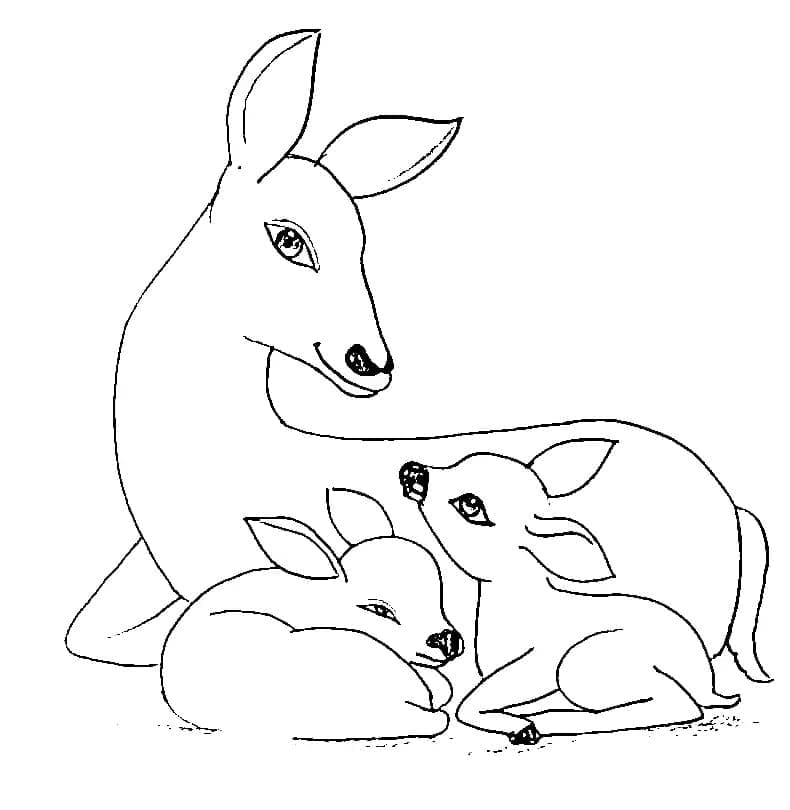 Free printable Doe coloring page #191111 from Animals collection Free printable Doe coloring page #191111 from Animals collection