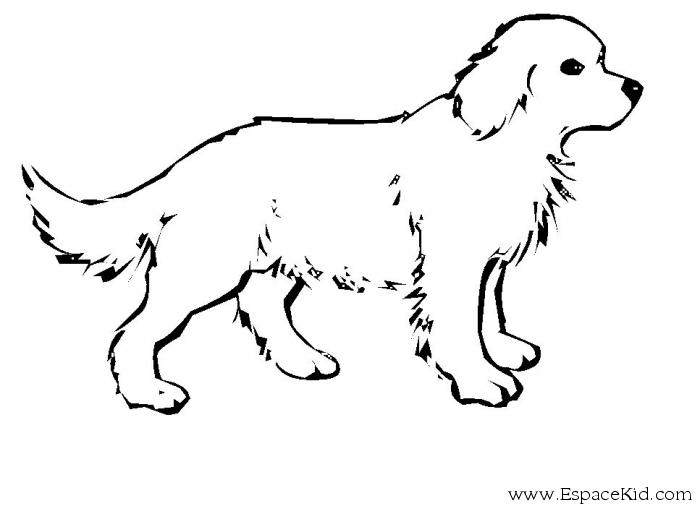 Coloring page: Dog (Animals) #14 - Free Printable Coloring Pages