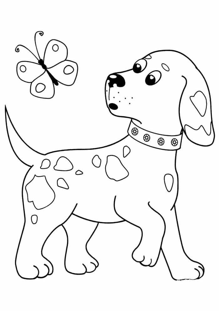 Free printable Dog coloring page #182779 from Animals collection