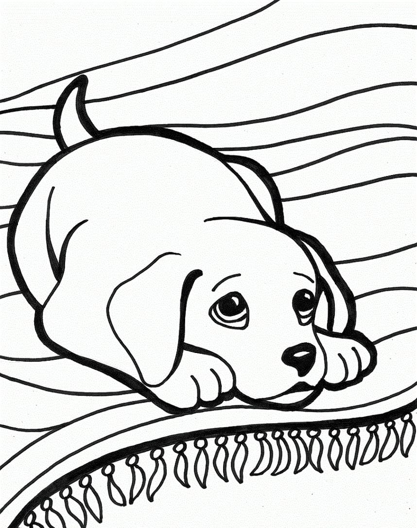 Free printable Dog coloring page #182827 from Animals collection