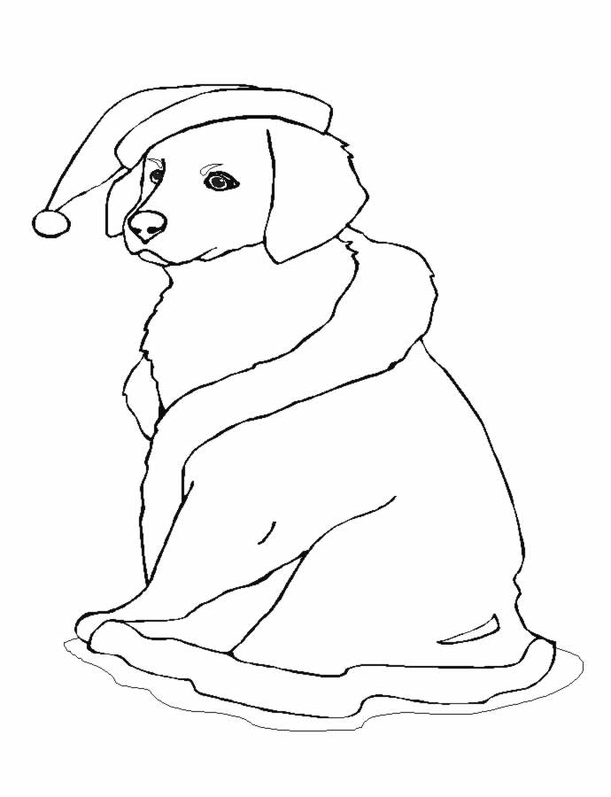 Coloring page: Dog (Animals) #19 - Free Printable Coloring Pages