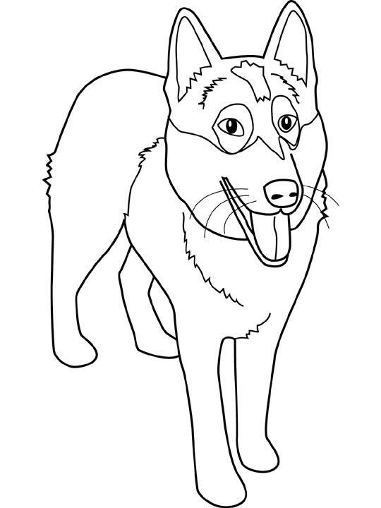 Coloring page: Dog (Animals) #30 - Free Printable Coloring Pages