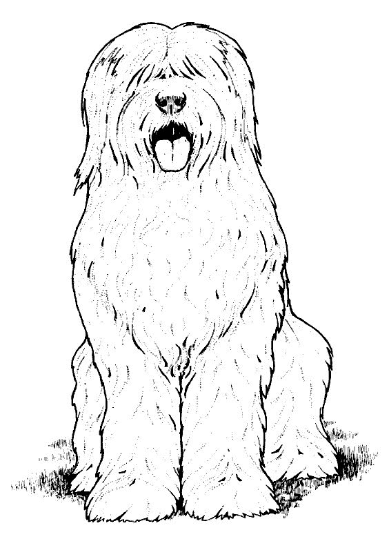 Coloring page: Dog (Animals) #3098 - Free Printable Coloring Pages