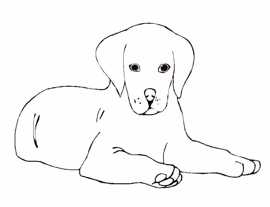 Coloring page: Dog (Animals) #3108 - Free Printable Coloring Pages