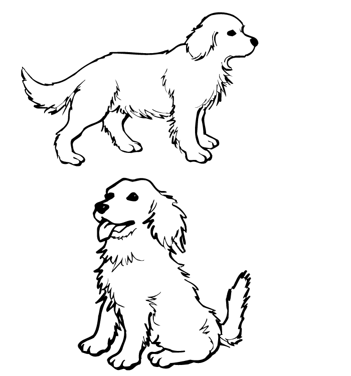 drawing dog 3118 animals printable coloring pages