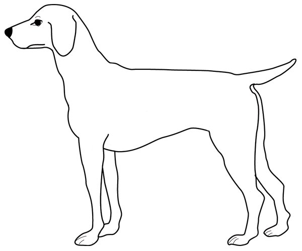 Coloring page: Dog (Animals) #3123 - Free Printable Coloring Pages
