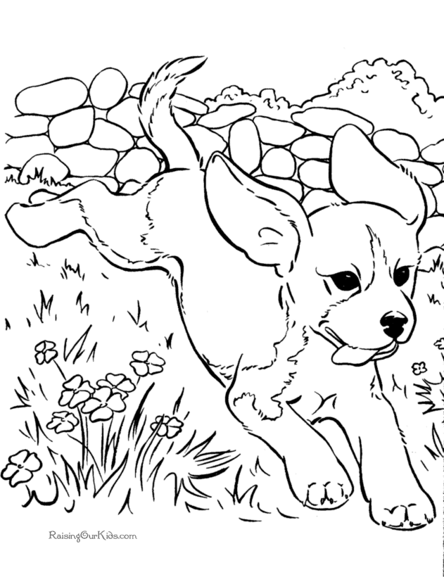 Coloring page: Dog (Animals) #3129 - Free Printable Coloring Pages