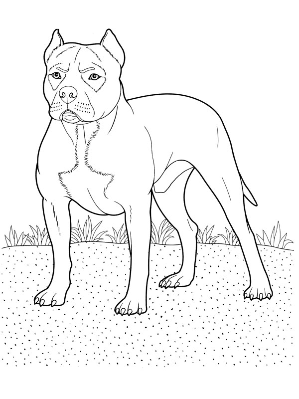 Coloring page: Dog (Animals) #3138 - Free Printable Coloring Pages