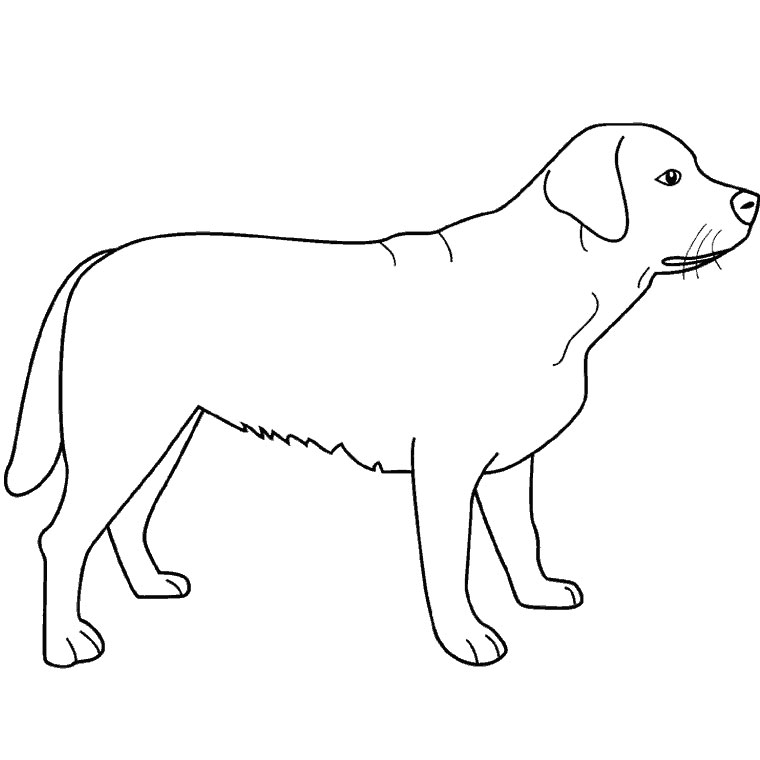 Coloring page: Dog (Animals) #3139 - Free Printable Coloring Pages