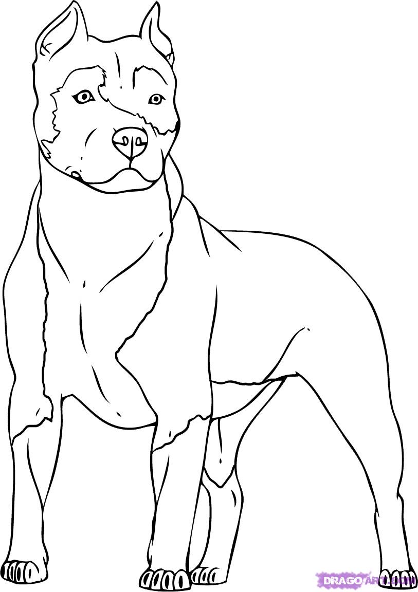 Coloring page: Dog (Animals) #3149 - Free Printable Coloring Pages