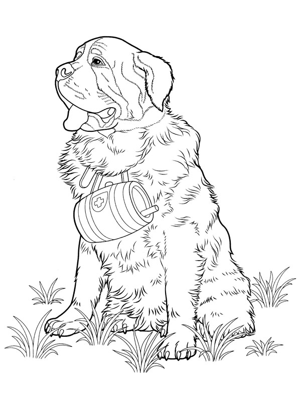 Coloring page: Dog (Animals) #3150 - Free Printable Coloring Pages