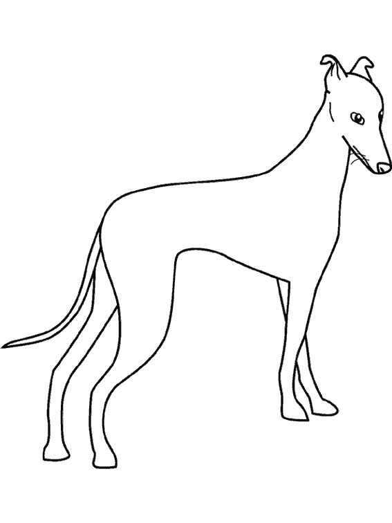 Coloring page: Dog (Animals) #3156 - Free Printable Coloring Pages