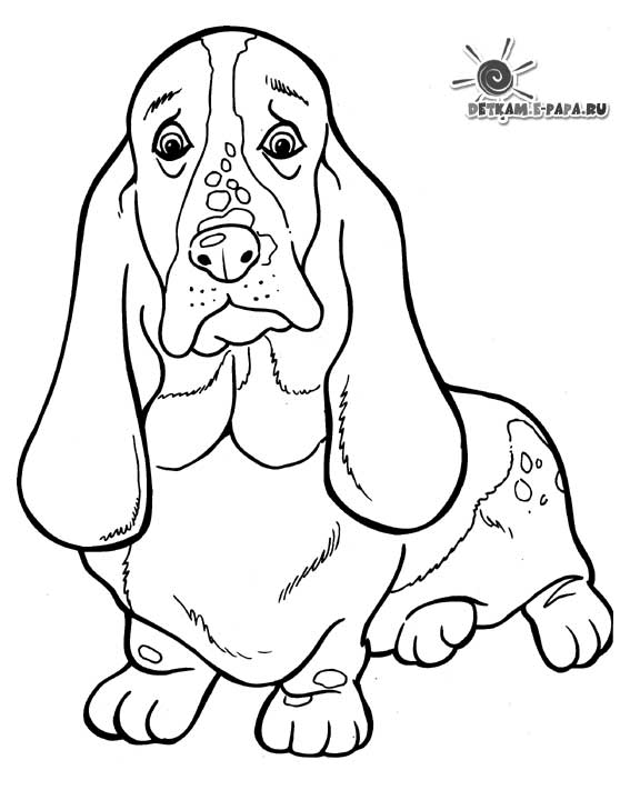 Coloring page: Dog (Animals) #3164 - Free Printable Coloring Pages