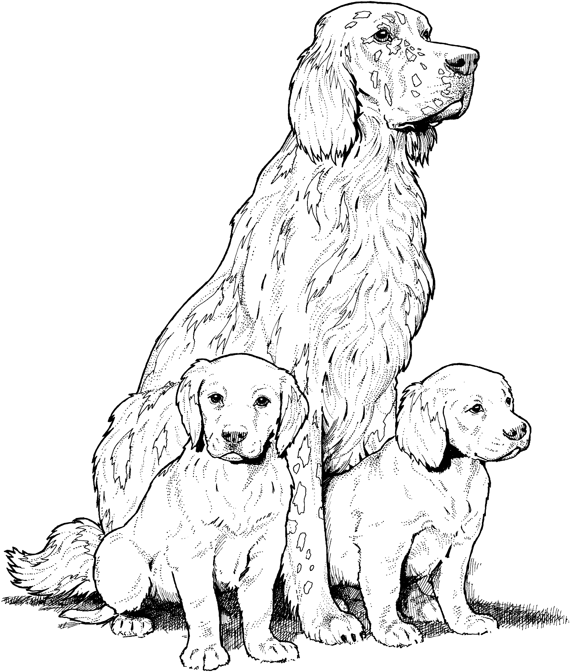 Coloring page: Dog (Animals) #3167 - Free Printable Coloring Pages