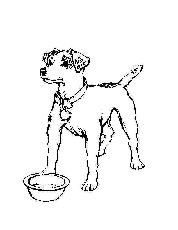 Coloring page: Dog (Animals) #3169 - Free Printable Coloring Pages