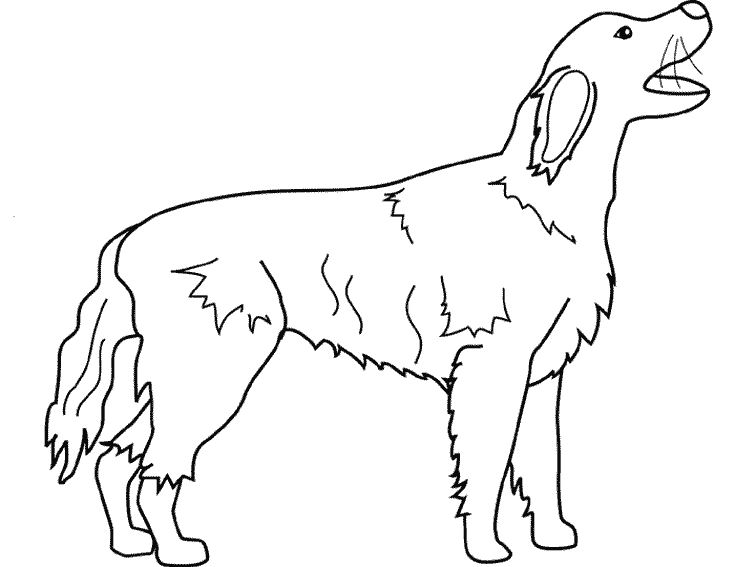 Coloring page: Dog (Animals) #3179 - Free Printable Coloring Pages