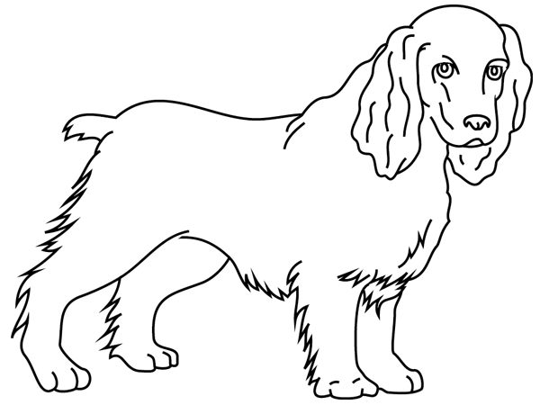 Coloring page: Dog (Animals) #3213 - Free Printable Coloring Pages