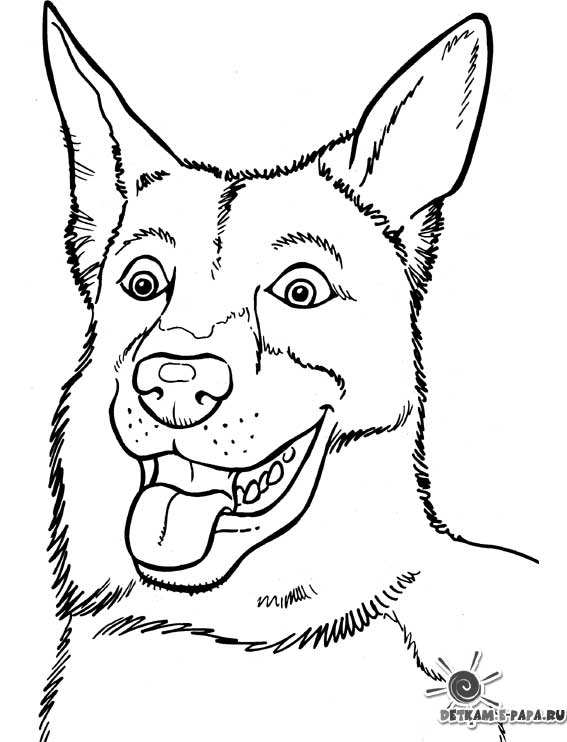 Coloring page: Dog (Animals) #3218 - Free Printable Coloring Pages