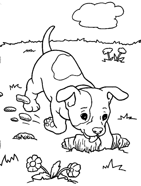 Coloring page: Dog (Animals) #44 - Free Printable Coloring Pages