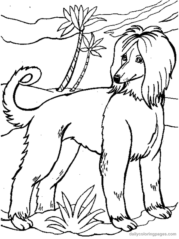 Coloring page: Dog (Animals) #50 - Free Printable Coloring Pages