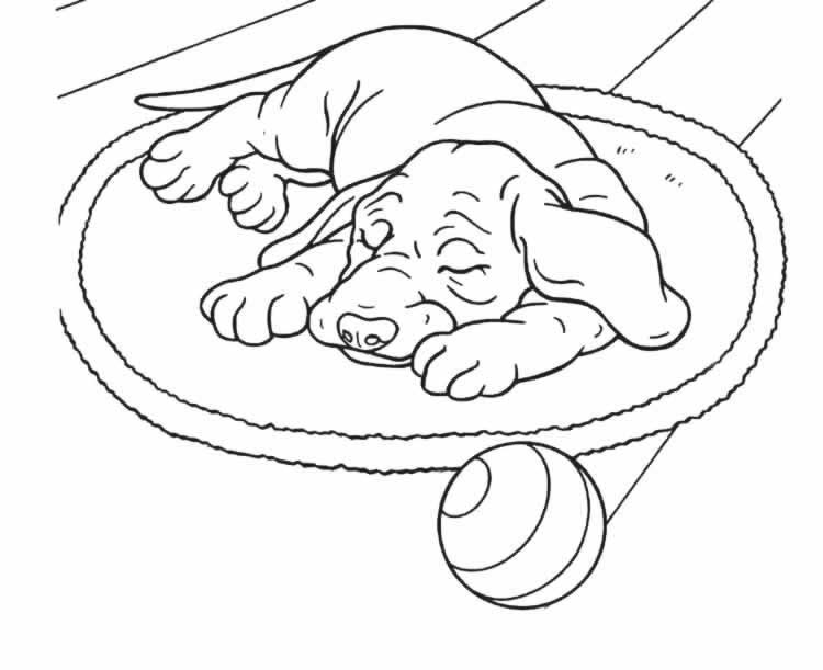 Coloring page: Dog (Animals) #51 - Free Printable Coloring Pages