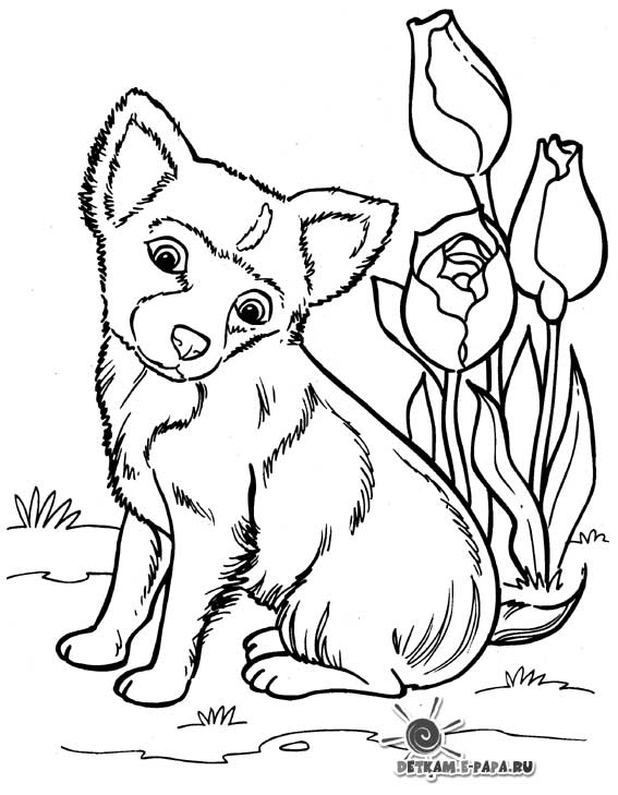 Coloring page: Dog (Animals) #69 - Free Printable Coloring Pages
