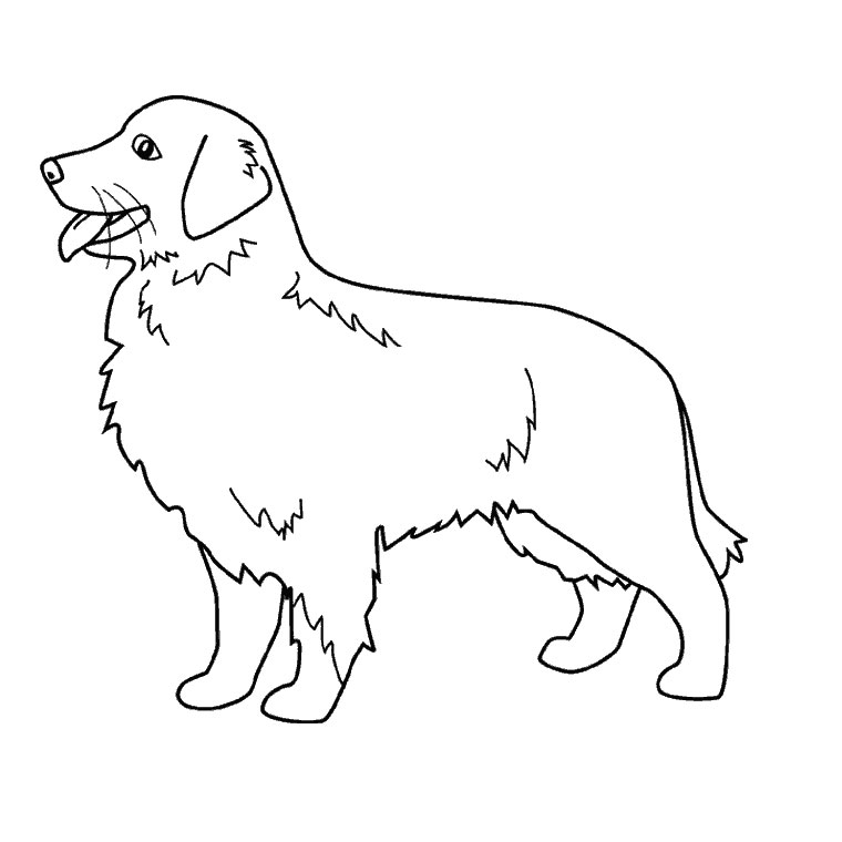 Coloring page: Dog (Animals) #7 - Free Printable Coloring Pages