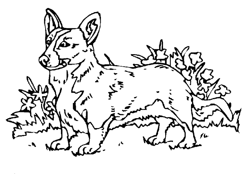 Coloring page: Dog (Animals) #73 - Free Printable Coloring Pages