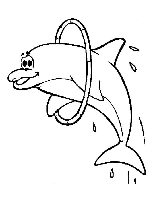 Free printable Dolphin coloring page #217214 from Animals collection
