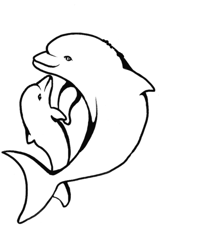 Coloring page: Dolphin (Animals) #5091 - Free Printable Coloring Pages