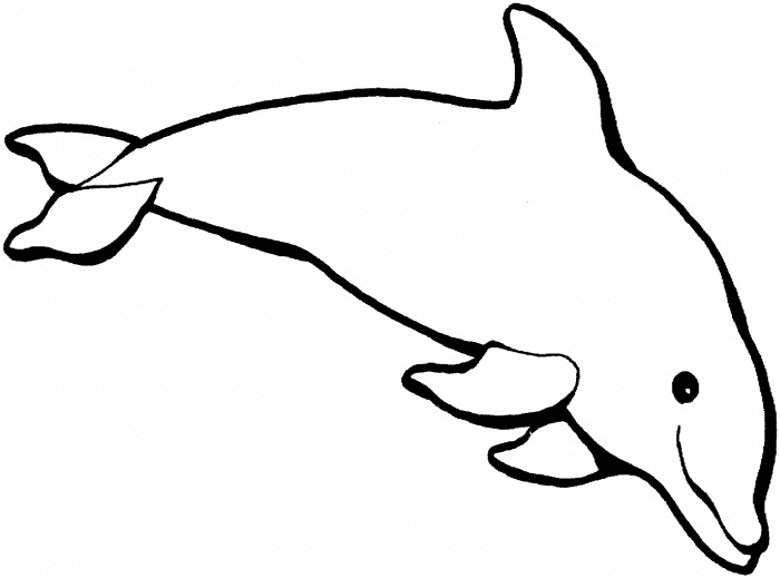 Coloring page: Dolphin (Animals) #5095 - Free Printable Coloring Pages