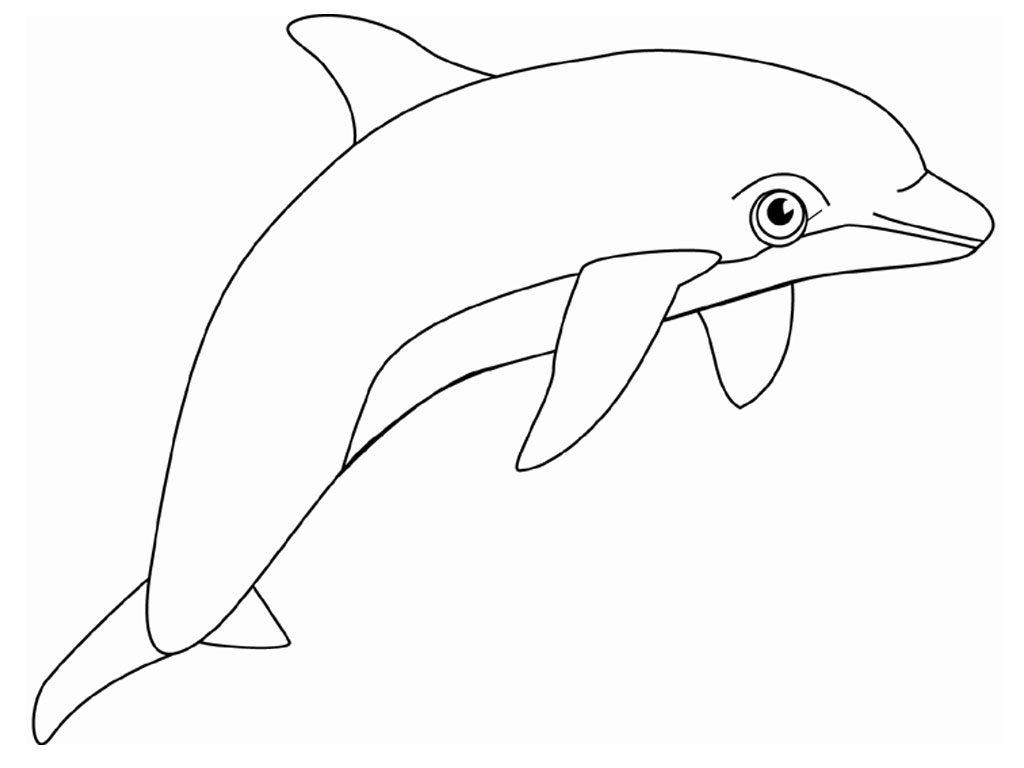 Coloring page: Dolphin (Animals) #5098 - Free Printable Coloring Pages