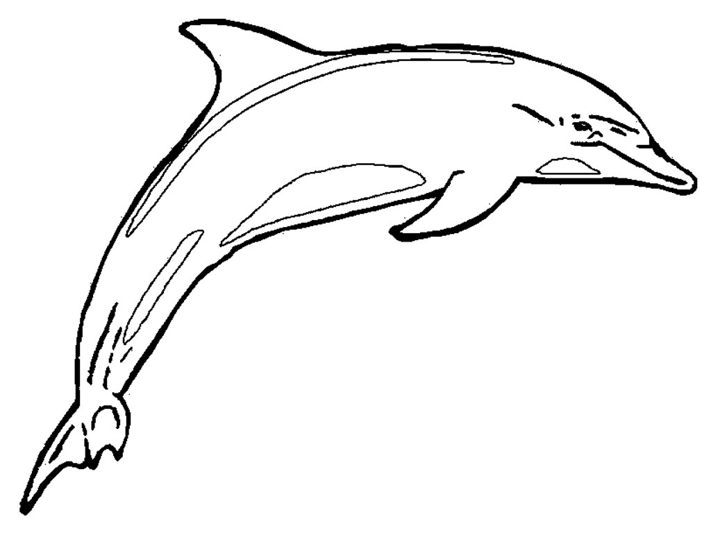 Coloring page: Dolphin (Animals) #5099 - Free Printable Coloring Pages