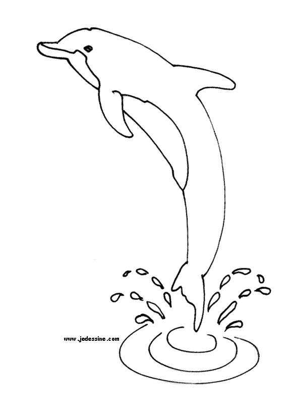Coloring page: Dolphin (Animals) #5101 - Free Printable Coloring Pages